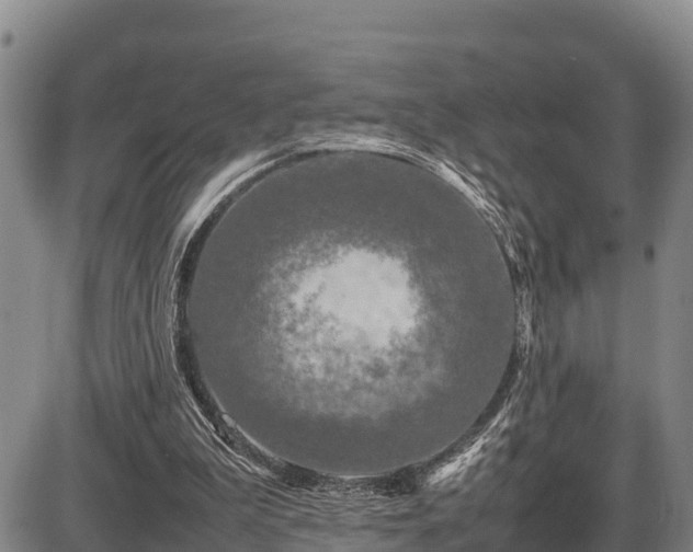 X0000087420199200704271745