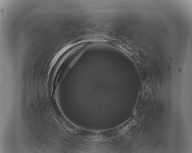 X0000087420200200704271745