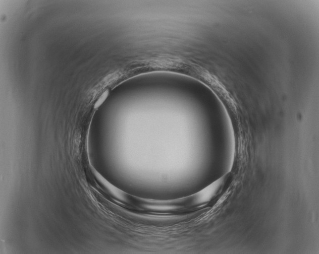 X0000087420201200704271745