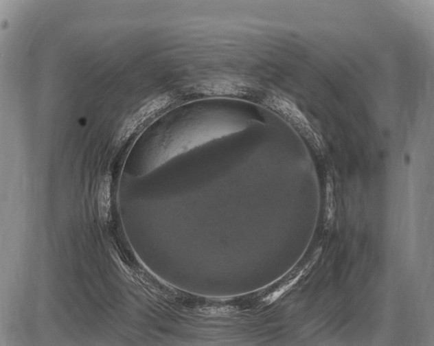 X0000087420202200704271745