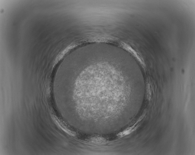 X0000087420203200704271745