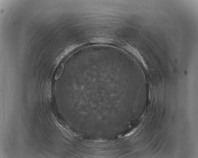 X0000087420204200704271745