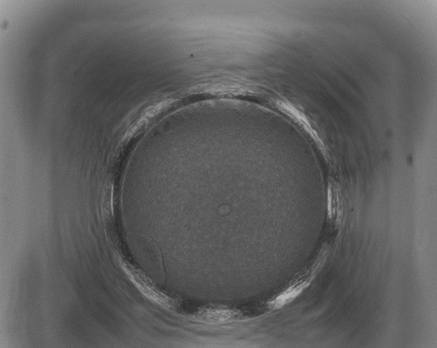 X0000087420205200704271745