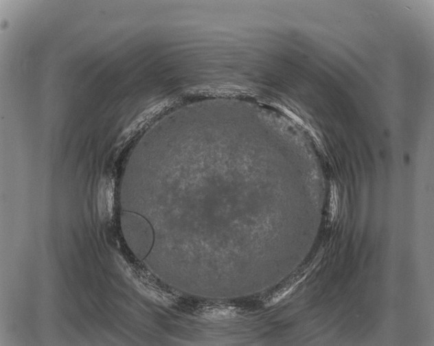 X0000087420206200704271745