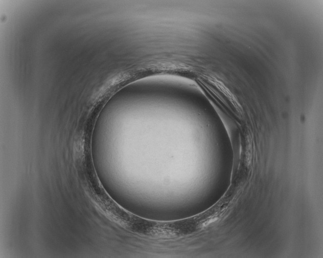 X0000087420207200704271745