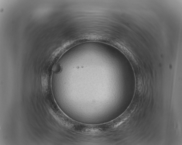 X0000087420208200704271745