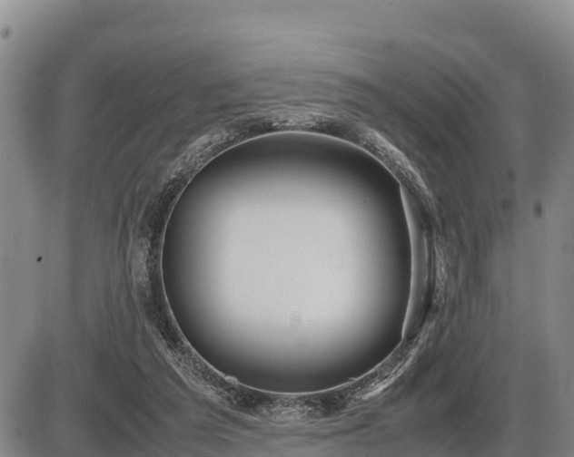 X0000087420209200704271745