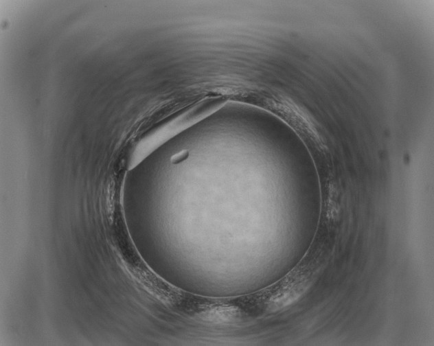 X0000087420210200704271745