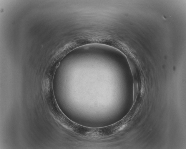 X0000087420211200704271745