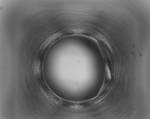 X0000087420212200704271745