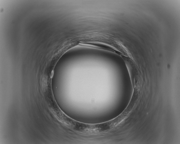 X0000087420213200704271745