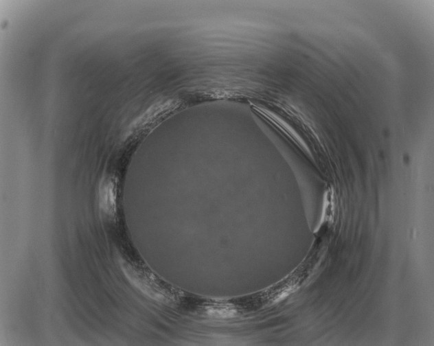 X0000087420214200704271745