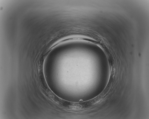 X0000087420215200704271745