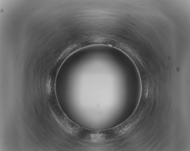 X0000087420216200704271745