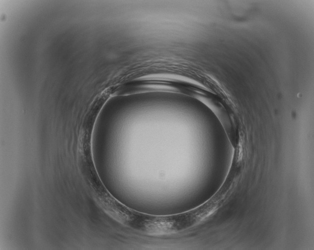 X0000087420217200704271745