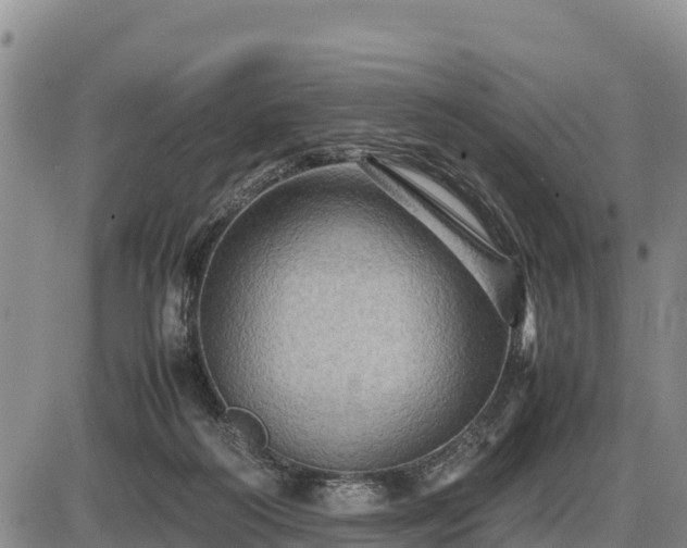 X0000087420218200704271745