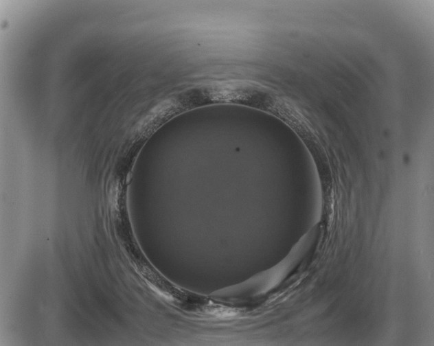 X0000087420219200704271745