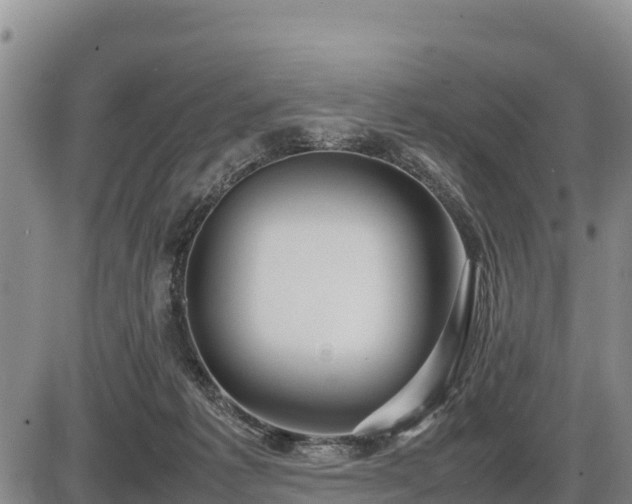 X0000087420221200704271745