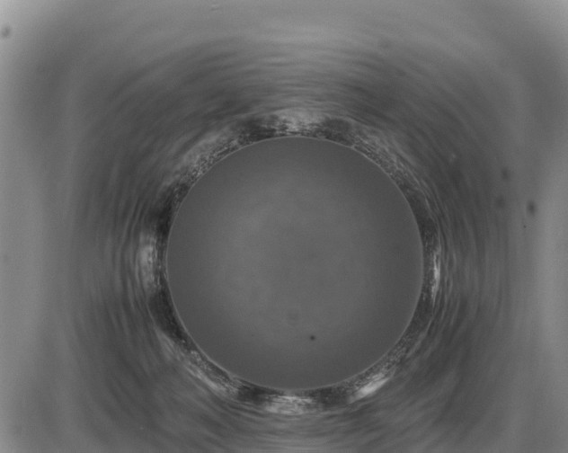 X0000087420222200704271745