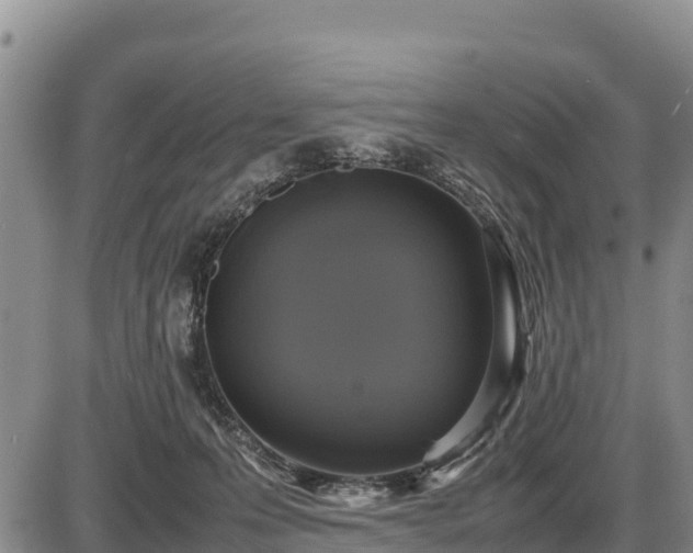 X0000087420223200704271745