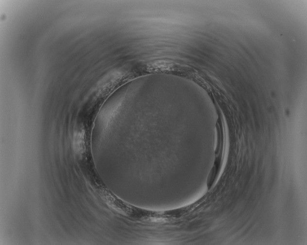 X0000087420224200704271745