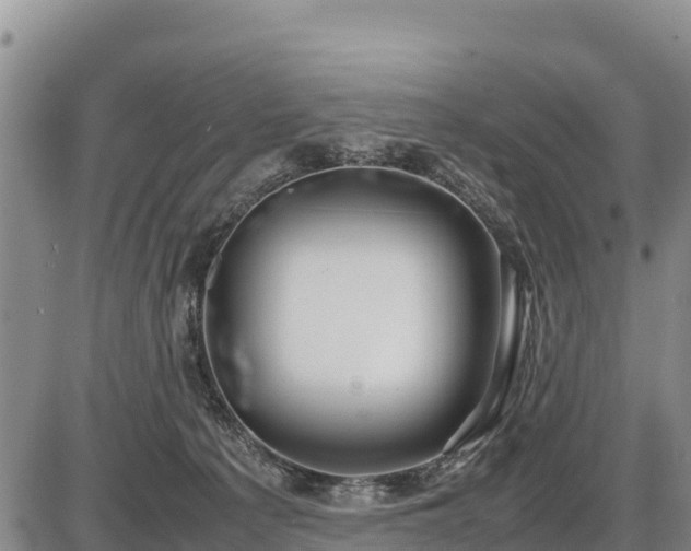 X0000087420225200704271745