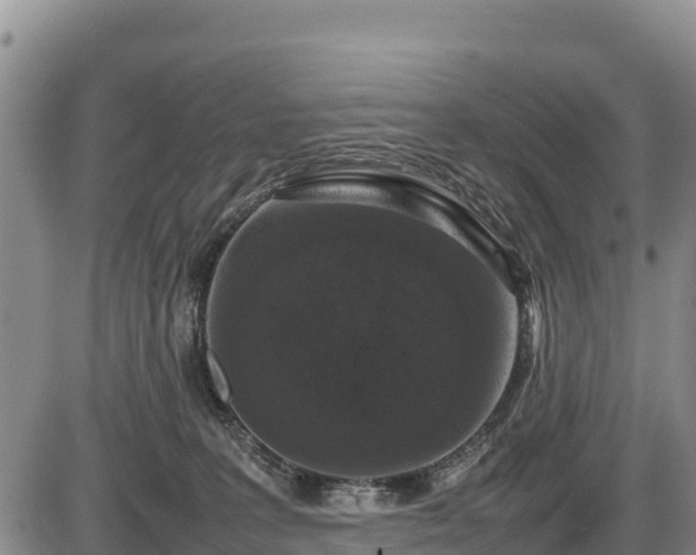 X0000087420227200704271745