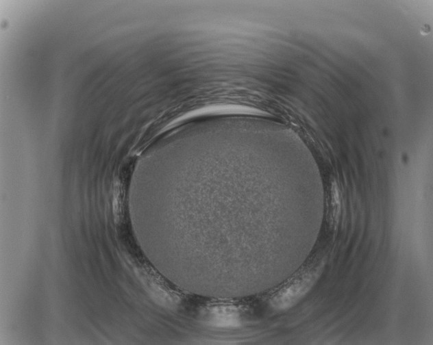 X0000087420228200704271745