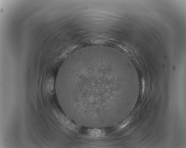 X0000087420230200704271745