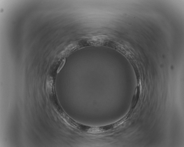 X0000087420231200704271745