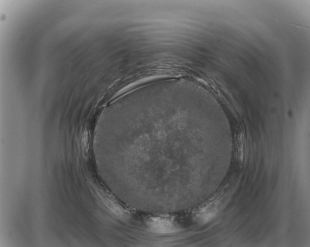 X0000087420232200704271745