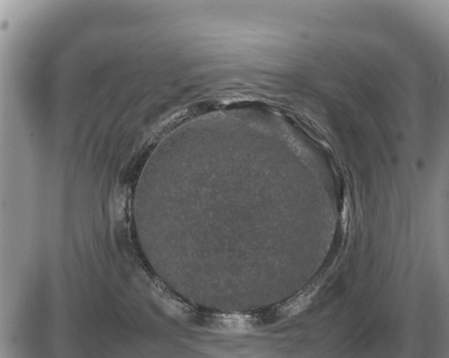 X0000087420233200704271745