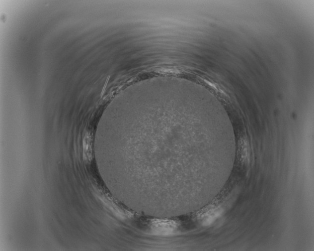 X0000087420234200704271745