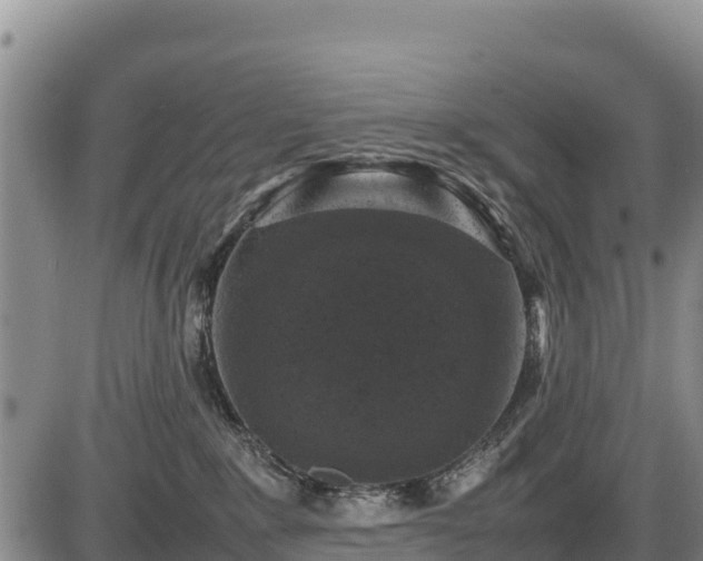 X0000087420235200704271745