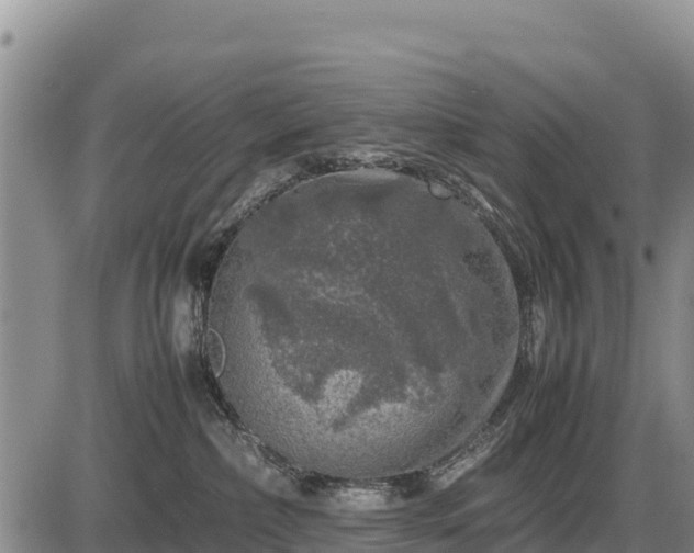 X0000087420236200704271745