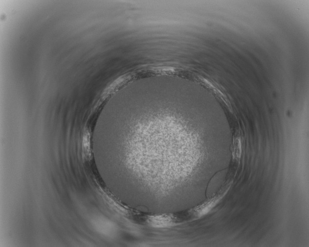 X0000087420238200704271745