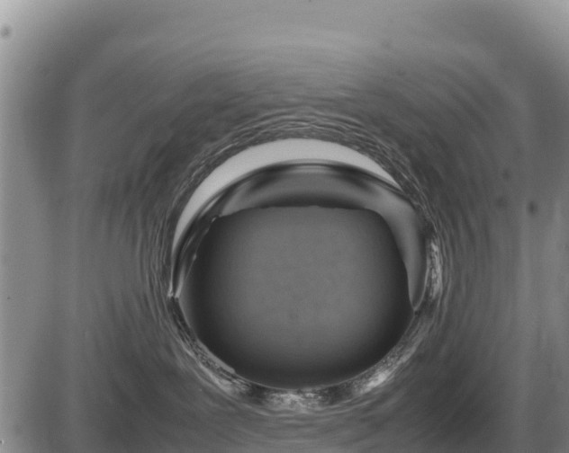 X0000087420239200704271745