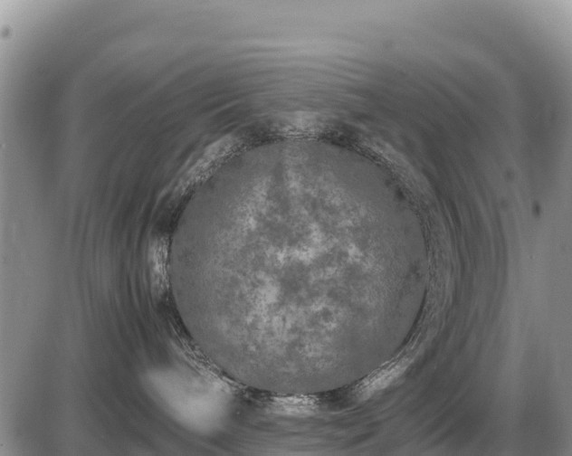 X0000087420240200704271745