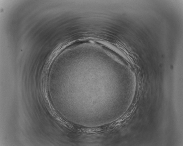 X0000087420241200704271744