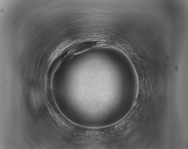 X0000087420242200704271744