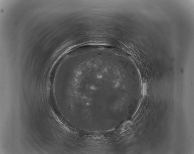 X0000087420243200704271744