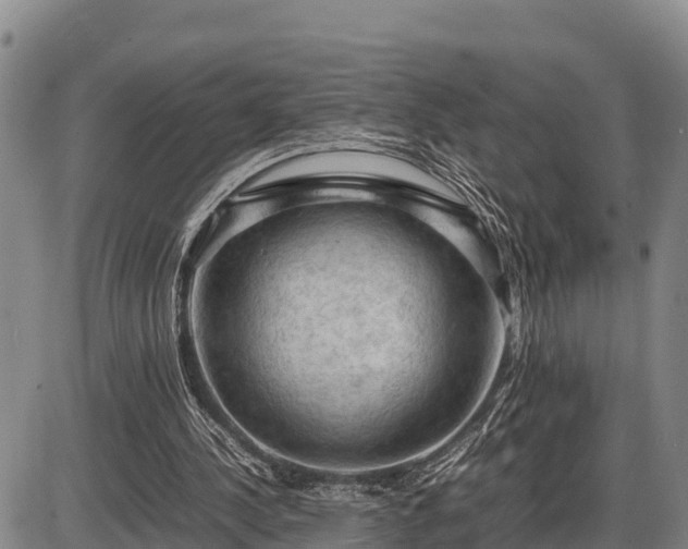 X0000087420244200704271744