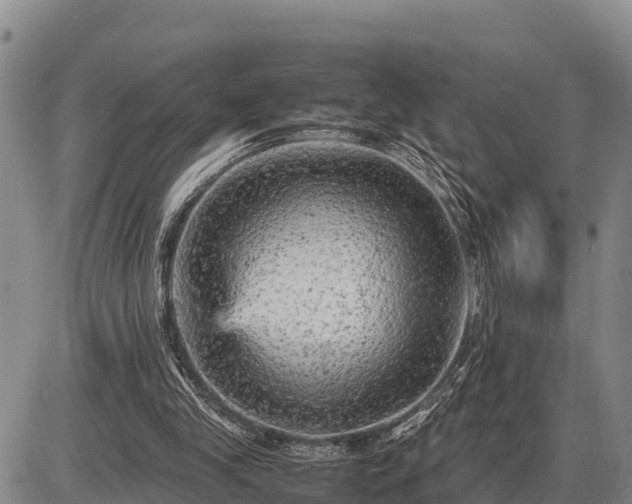 X0000087420245200704271744