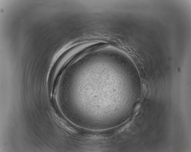 X0000087420246200704271744