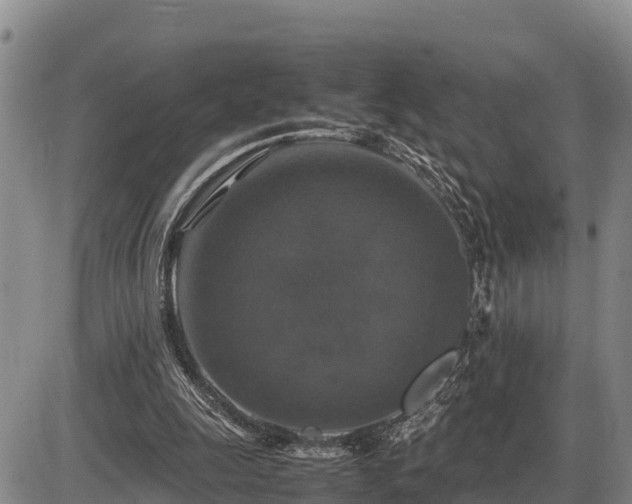 X0000087420247200704271744