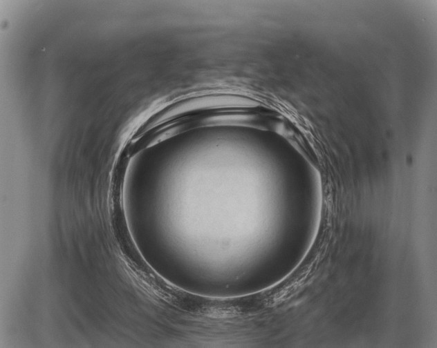 X0000087420248200704271744