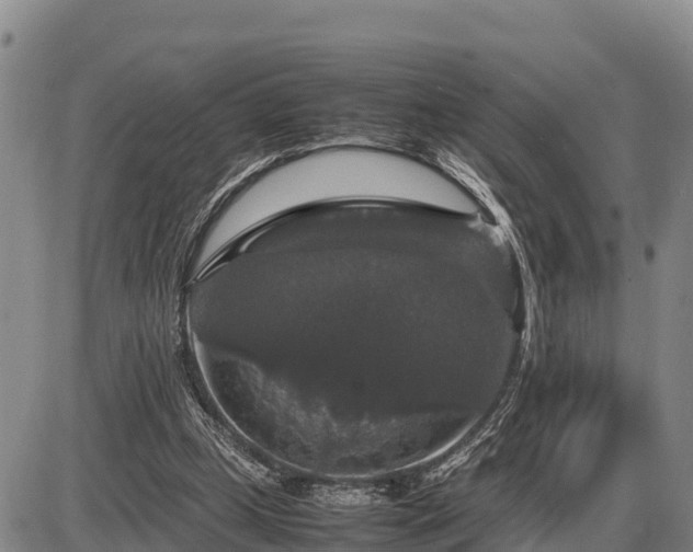 X0000087420249200704271744