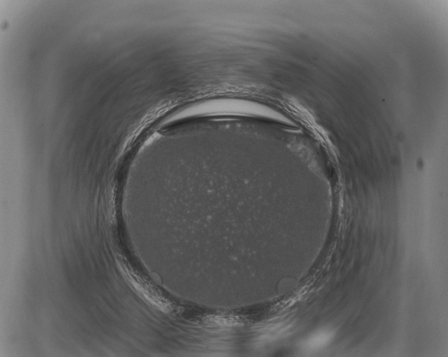 X0000087420250200704271744