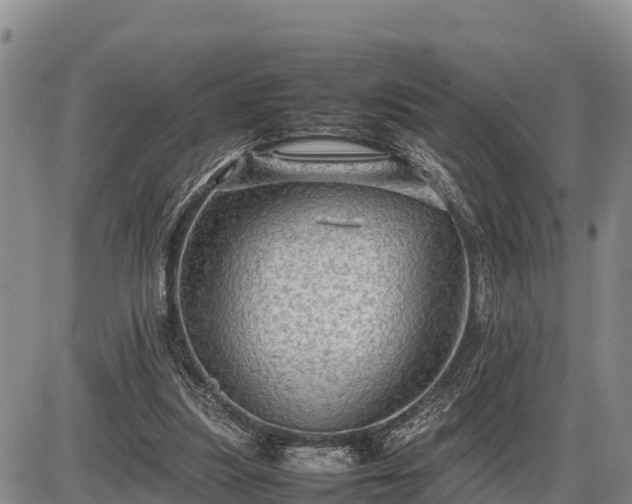 X0000087420251200704271744