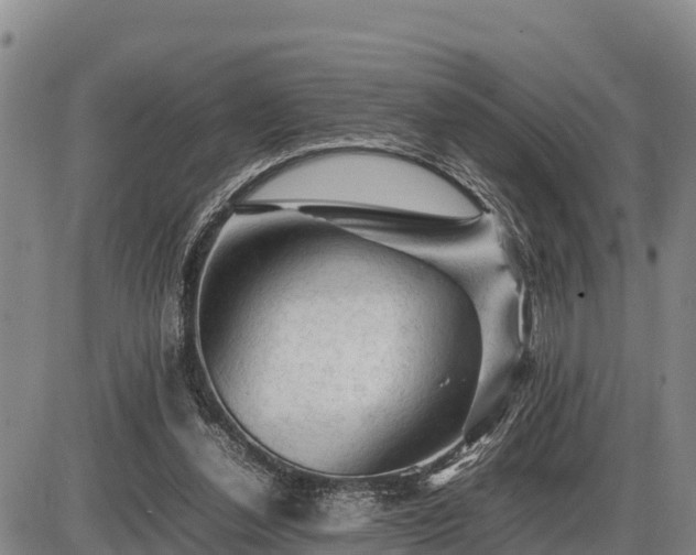 X0000087420252200704271744